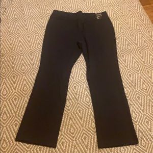NWT New York & Co pull on pants XL